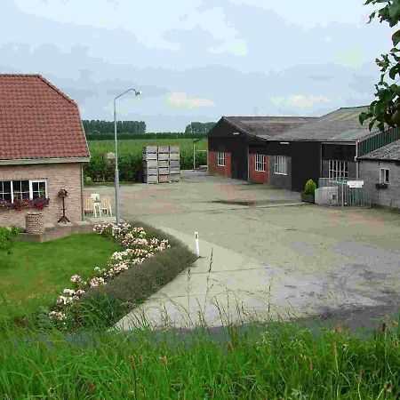 Voormalig Strandhuisje In Boomgaard In Hengstdijkヴィラ エクステリア 写真