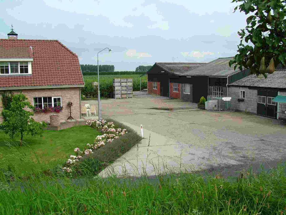 Voormalig Strandhuisje In Boomgaard In Hengstdijkヴィラ エクステリア 写真