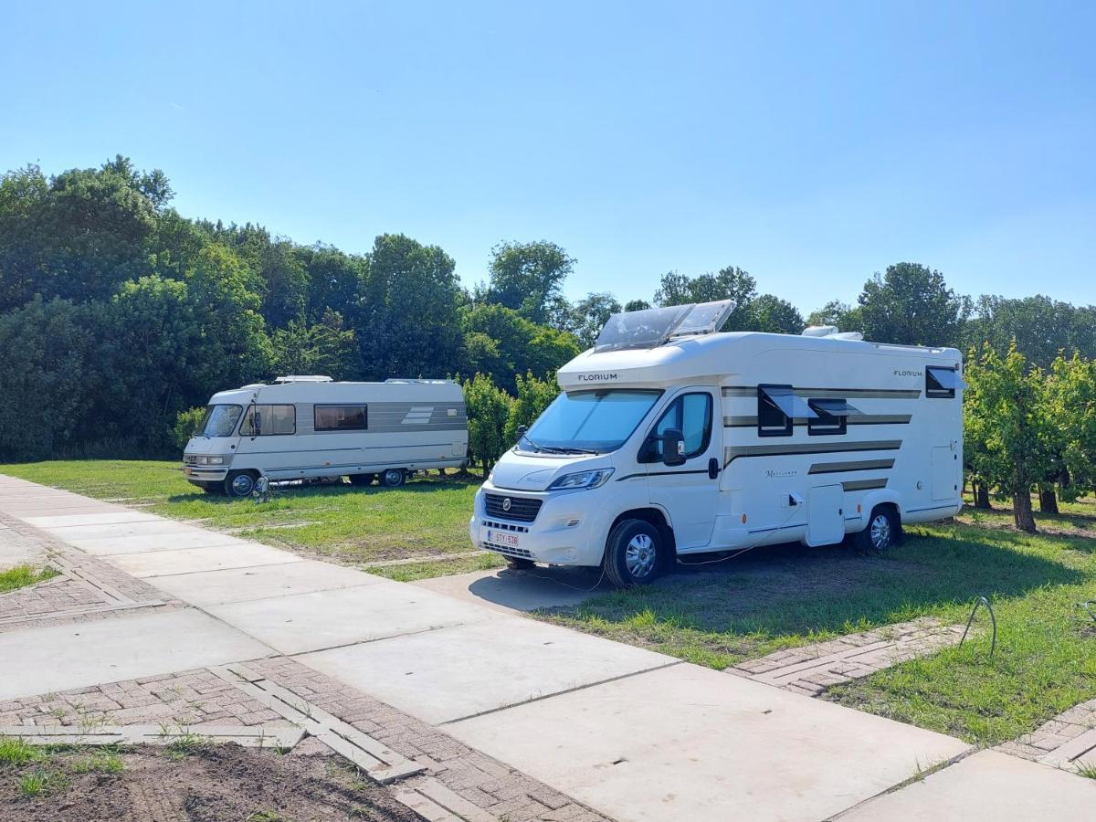 Voormalig Strandhuisje In Boomgaard In Hengstdijkヴィラ エクステリア 写真